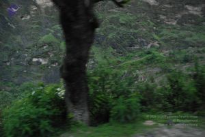 20080708 DSC 0315 CMP WM.jpg