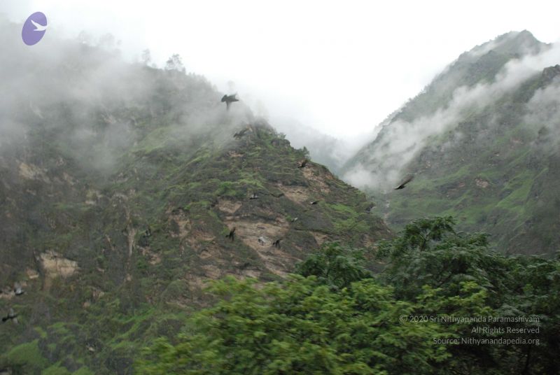 File:20080708 DSC 0323 CMP WM.jpg