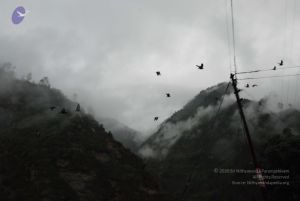 20080708 DSC 0324 CMP WM.jpg