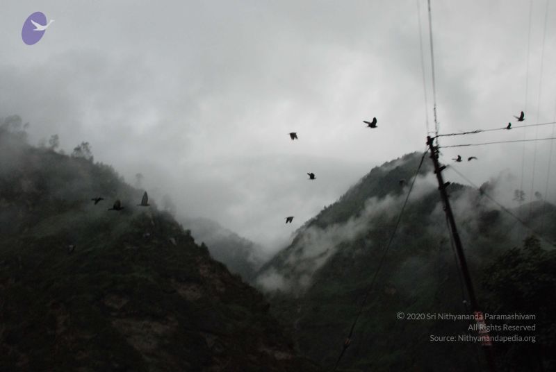 File:20080708 DSC 0324 CMP WM.jpg