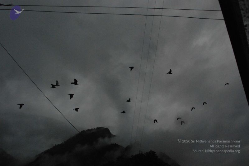 File:20080708 DSC 0325 CMP WM.jpg