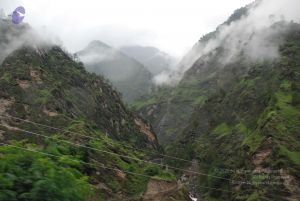 20080708 DSC 0332 CMP WM.jpg