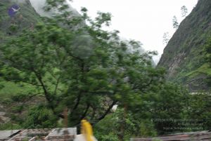 20080708 DSC 0344 CMP WM.jpg