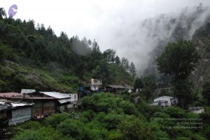 20080708 DSC 0350 CMP WM.jpg