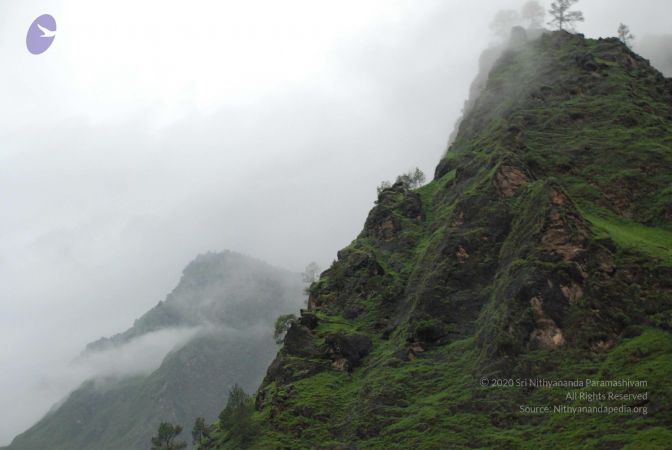 20080708 DSC 0356 CMP WM.jpg