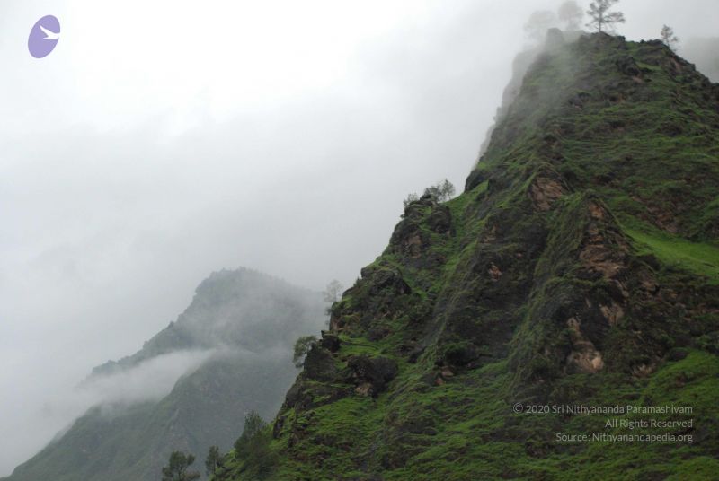 File:20080708 DSC 0356 CMP WM.jpg