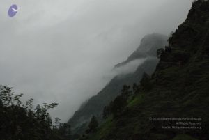 20080708 DSC 0357 CMP WM.jpg