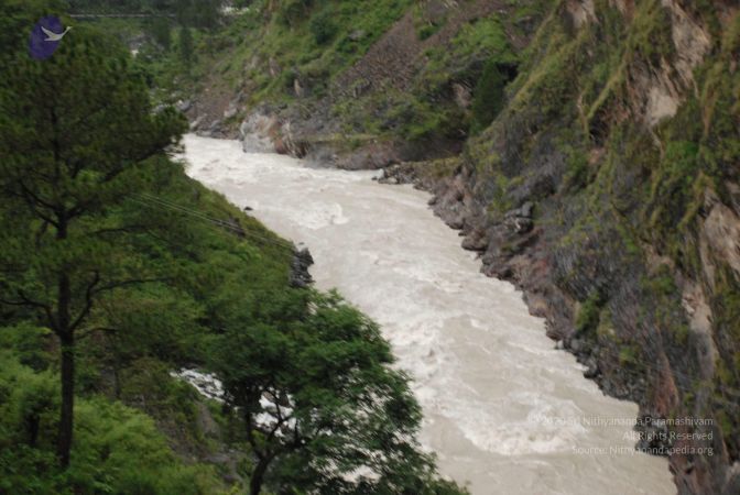 20080708 DSC 0361 CMP WM.jpg