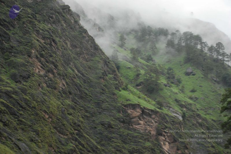 File:20080708 DSC 0364 CMP WM.jpg