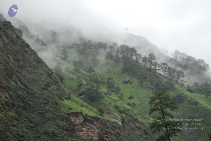 File:20080708 DSC 0365 CMP WM.jpg