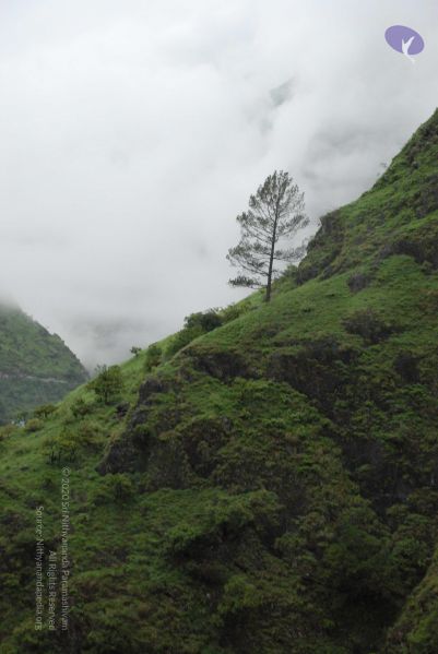 File:20080708 DSC 0366 CMP WM.jpg