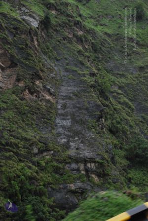 20080708 DSC 0370 CMP WM.jpg