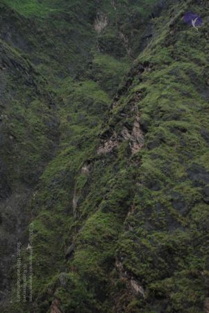 20080708 DSC 0371 CMP WM.jpg