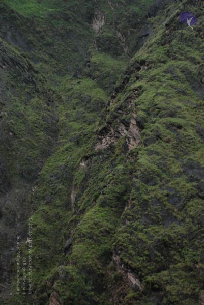 File:20080708 DSC 0371 CMP WM.jpg