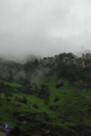 20080708 DSC 0373 CMP WM.jpg