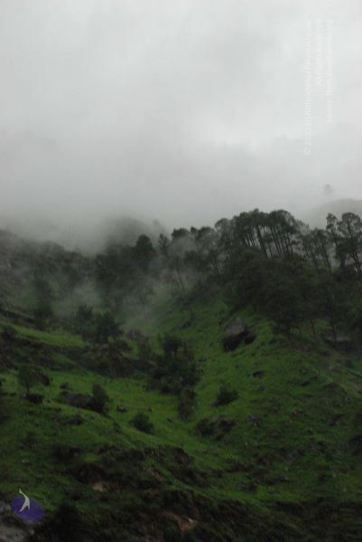 File:20080708 DSC 0373 CMP WM.jpg