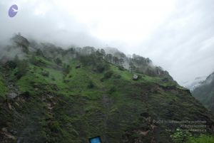 20080708 DSC 0376 CMP WM.jpg