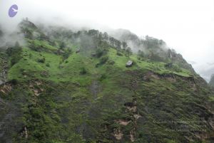 20080708 DSC 0382 CMP WM.jpg