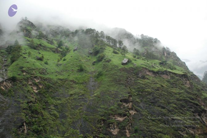 20080708 DSC 0382 CMP WM.jpg