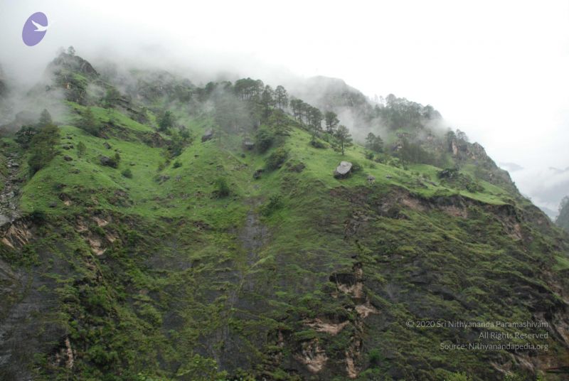 File:20080708 DSC 0382 CMP WM.jpg