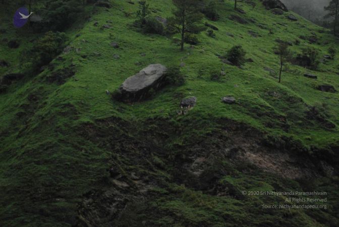 20080708 DSC 0383 CMP WM.jpg