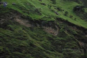 20080708 DSC 0384 CMP WM.jpg