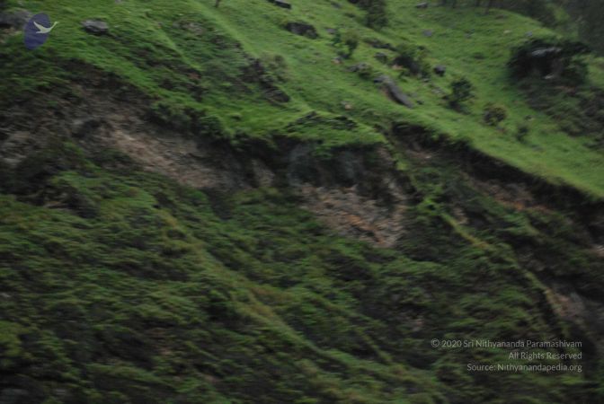 20080708 DSC 0384 CMP WM.jpg