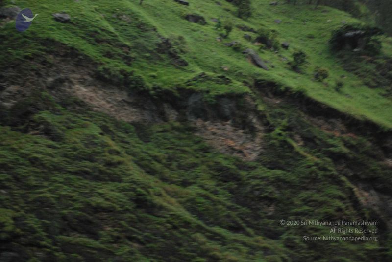 File:20080708 DSC 0384 CMP WM.jpg