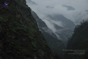 20080708 DSC 0387 CMP WM.jpg