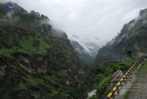 20080708 DSC 0389 CMP WM.jpg