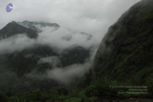 20080708 DSC 0434 CMP WM.jpg