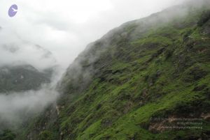 20080708 DSC 0436 CMP WM.jpg