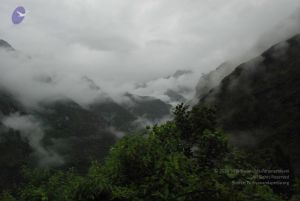 20080708 DSC 0444 CMP WM.jpg