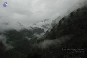 20080708 DSC 0446 CMP WM.jpg