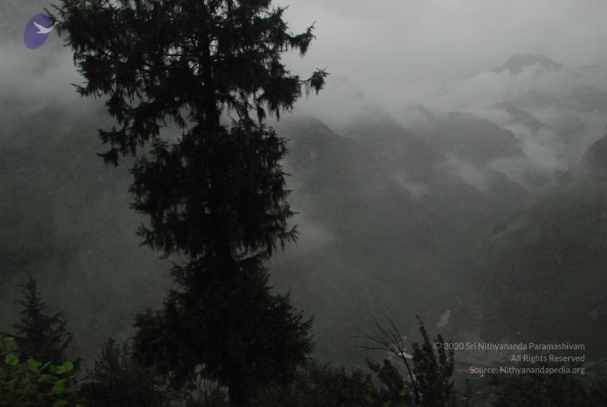 20080708 DSC 0454 CMP WM.jpg