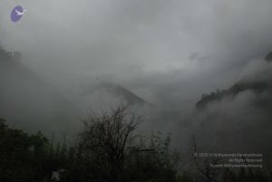 20080708 DSC 0456 CMP WM.jpg