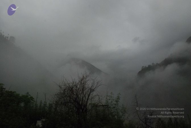 20080708 DSC 0456 CMP WM.jpg