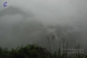 20080708 DSC 0461 CMP WM.jpg