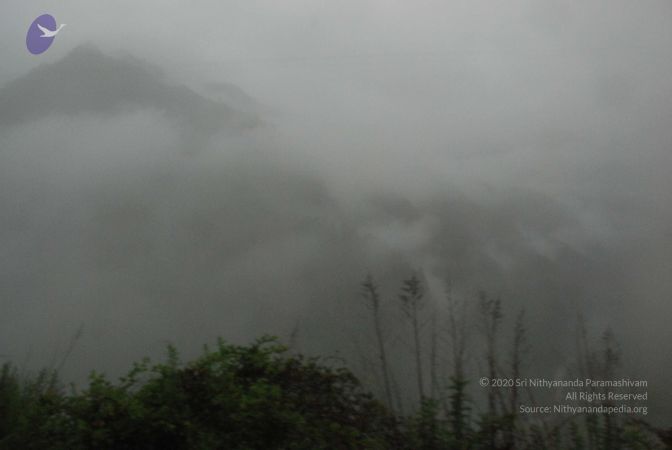 20080708 DSC 0461 CMP WM.jpg