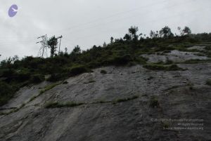 20080708 DSC 0465 CMP WM.jpg