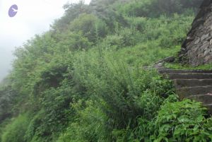 20080708 DSC 0471 CMP WM.jpg