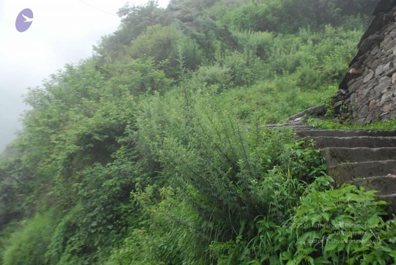 File:20080708 DSC 0471 CMP WM.jpg