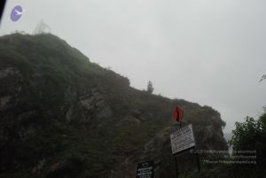 20080708 DSC 0472 CMP WM.jpg