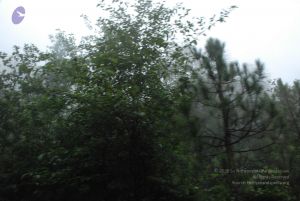 20080708 DSC 0478 CMP WM.jpg