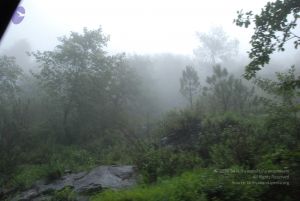 20080708 DSC 0479 CMP WM.jpg