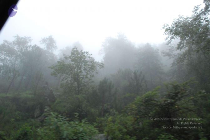 20080708 DSC 0480 CMP WM.jpg