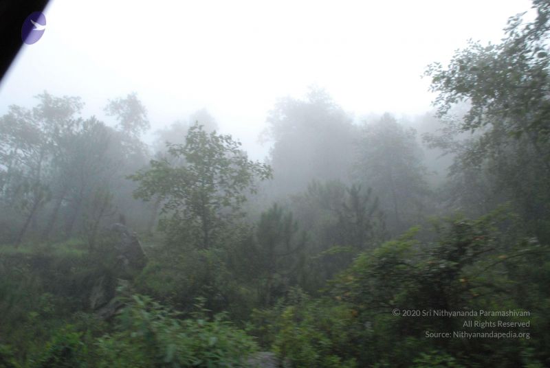 File:20080708 DSC 0480 CMP WM.jpg