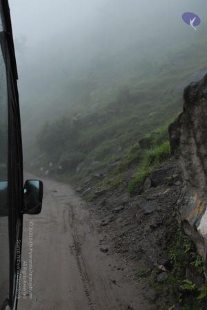 20080708 DSC 0487 CMP WM.jpg