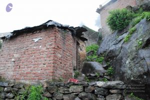 20080708 DSC 0503 CMP WM.jpg