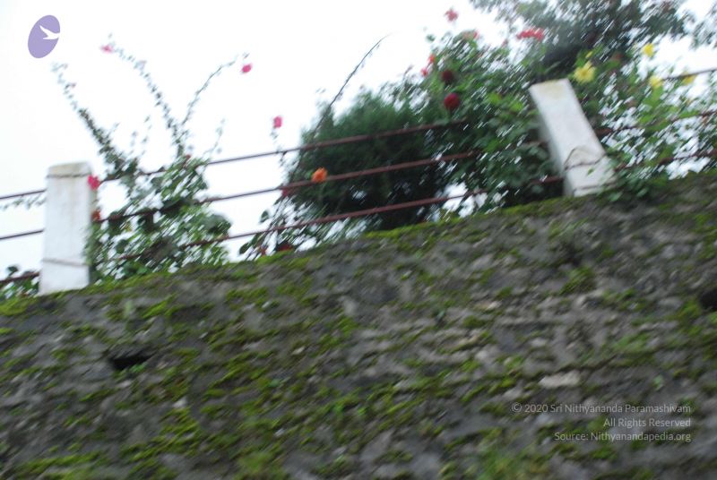 File:20080708 DSC 0504 CMP WM.jpg